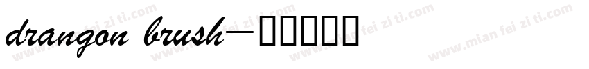drangon brush字体转换